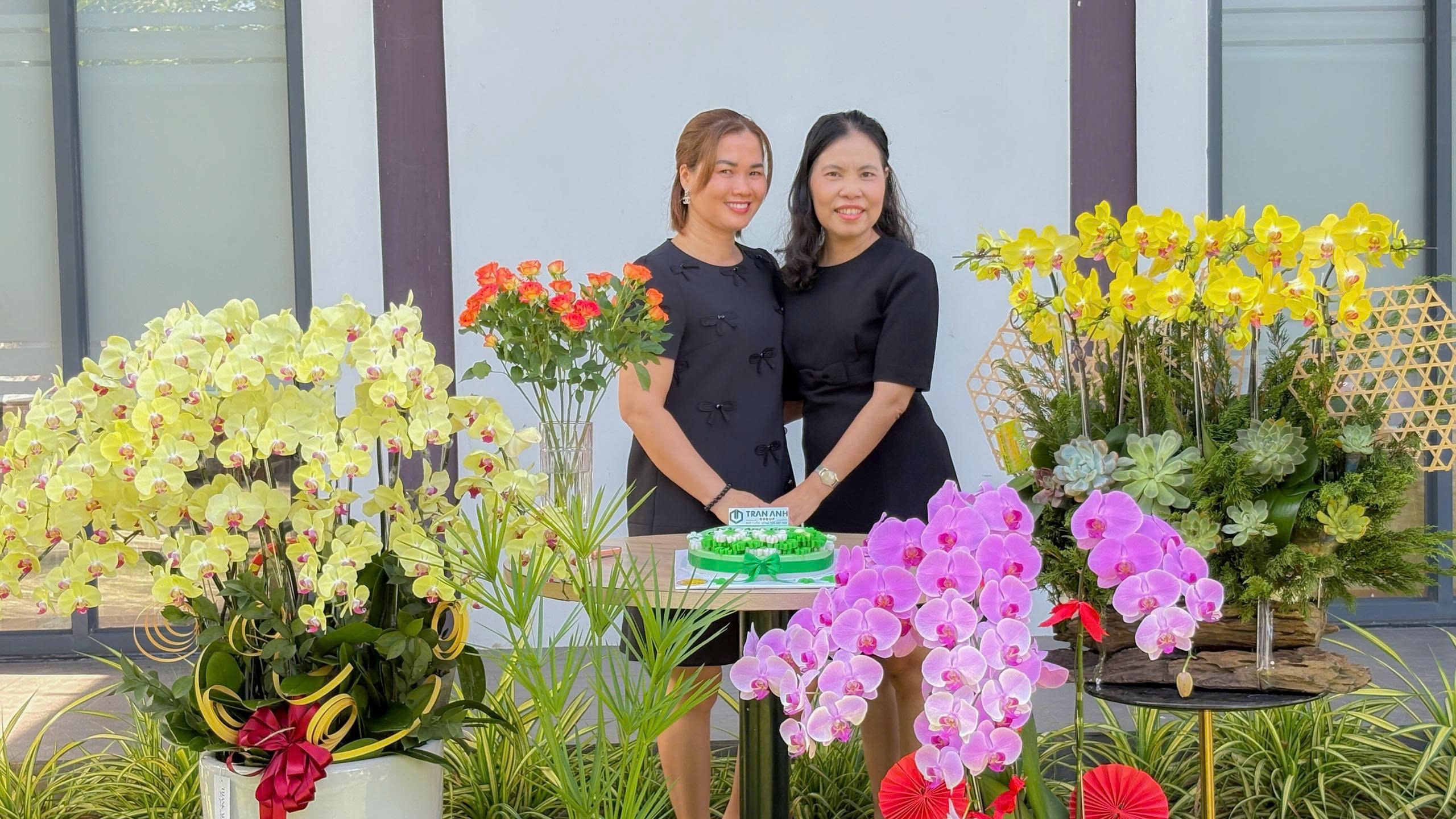 Hình ảnh bài viết