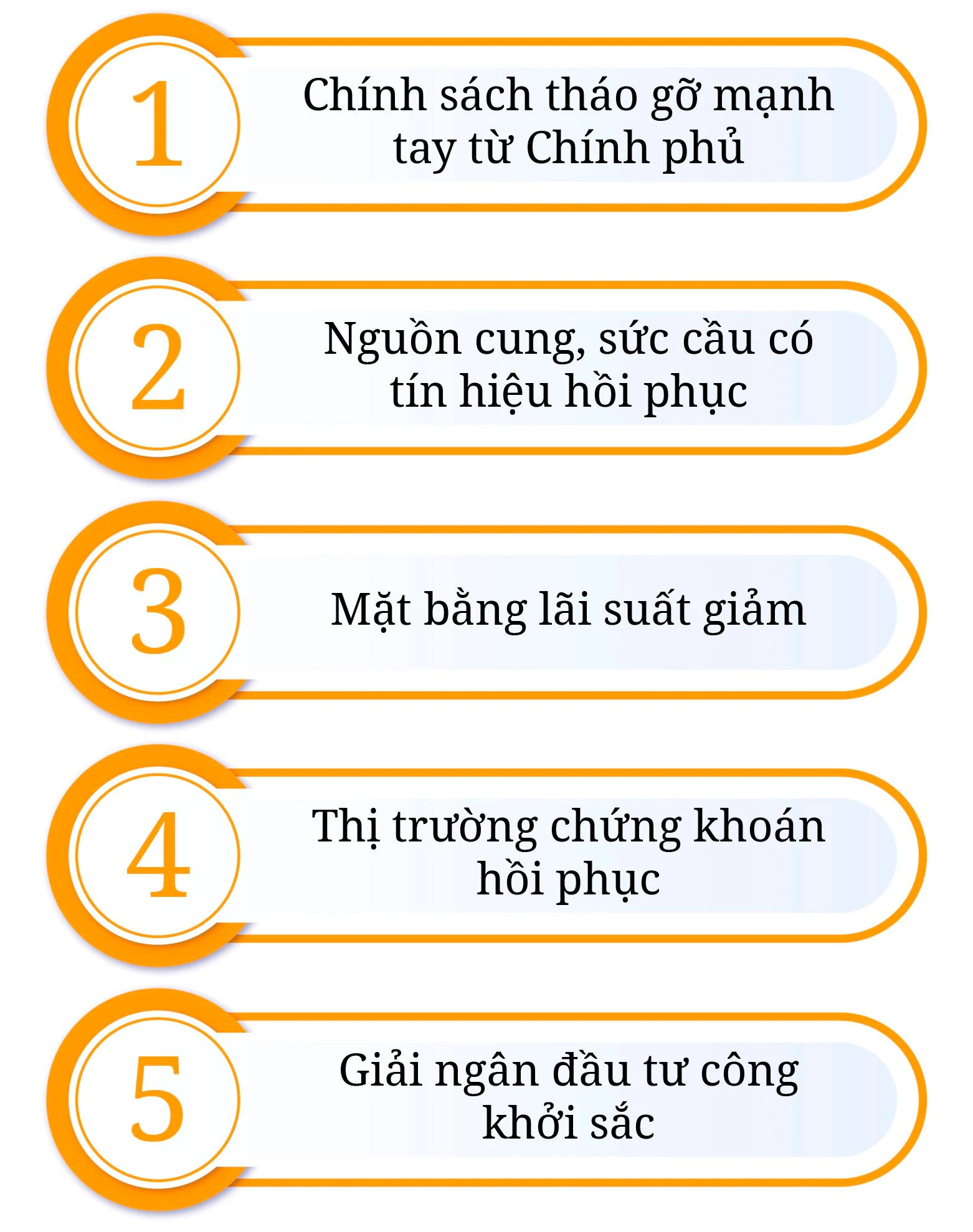 Hình ảnh bài viết