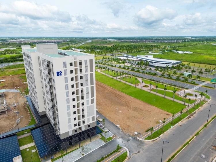Hình ảnh bài viết