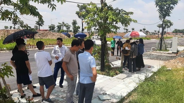 Hình ảnh bài viết
