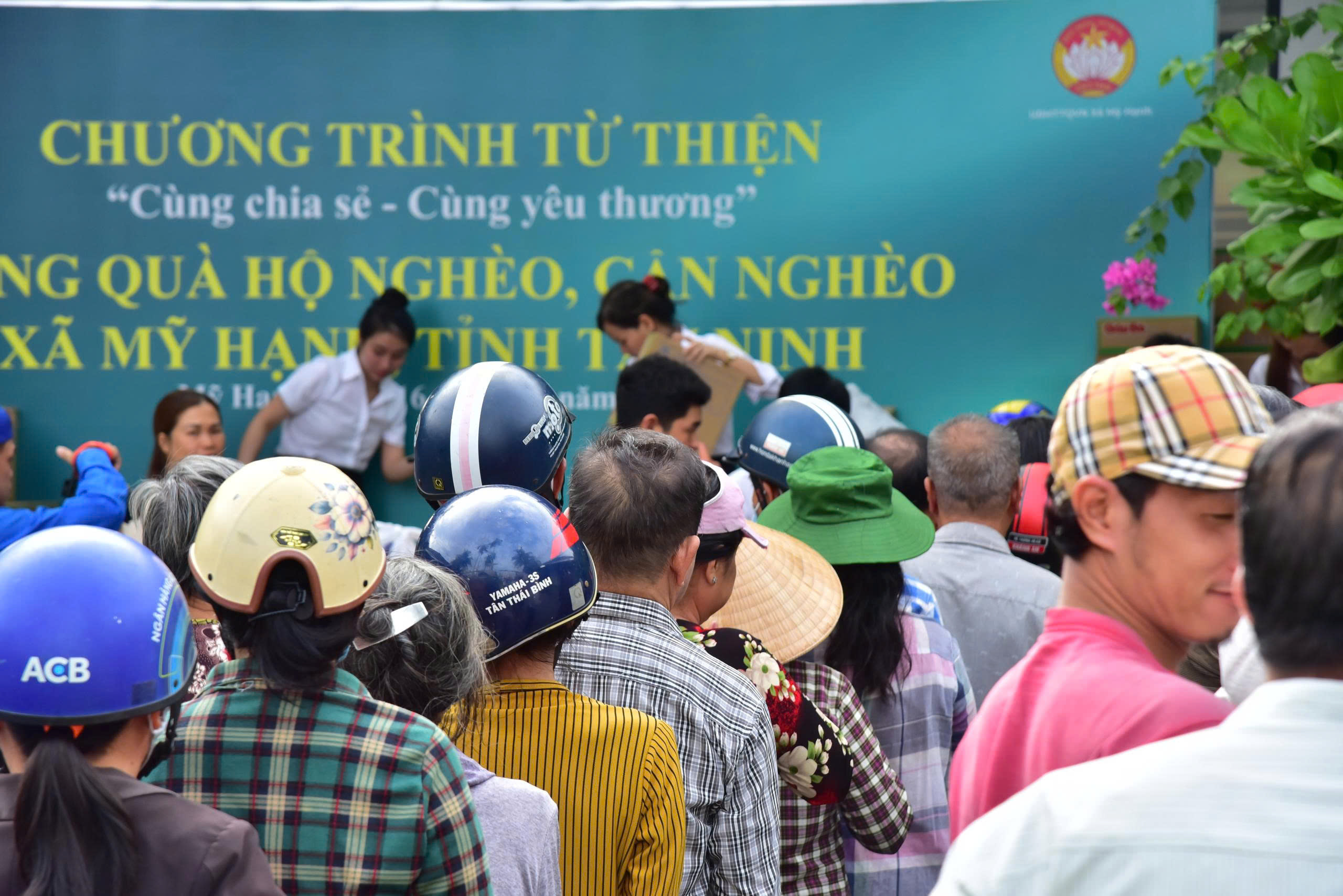 Hình ảnh bài viết