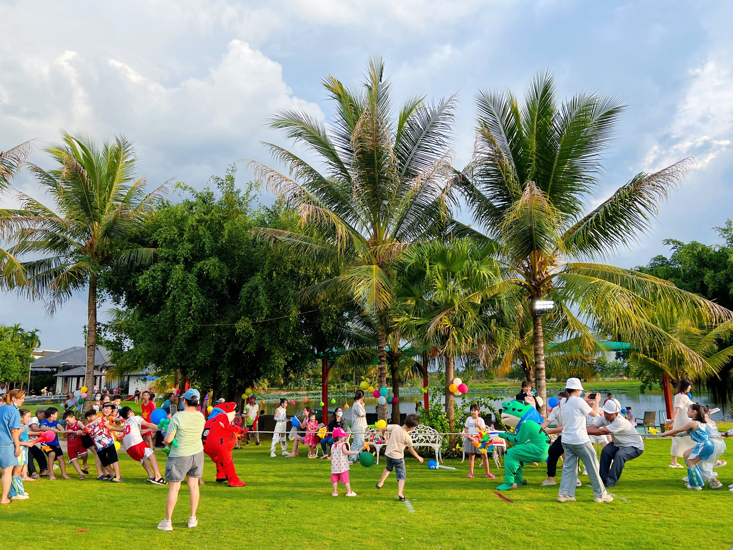 Hình ảnh bài viết